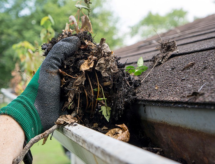 gutter cleaning services in springfield